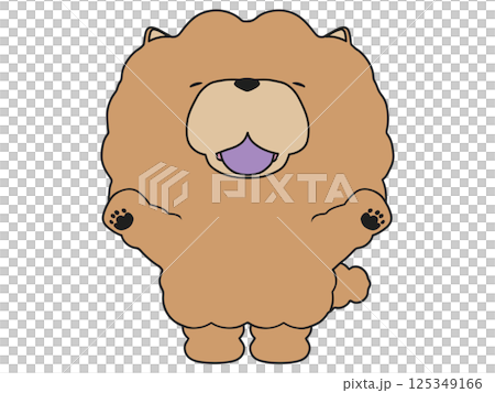 微笑歡呼的鬆獅犬 125349166