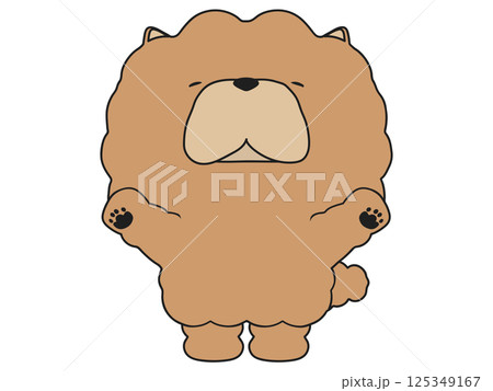 万歳するチャウチャウ 万歳するチャウチャウ 125349167