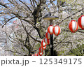 【東京】桜まつり 125349175