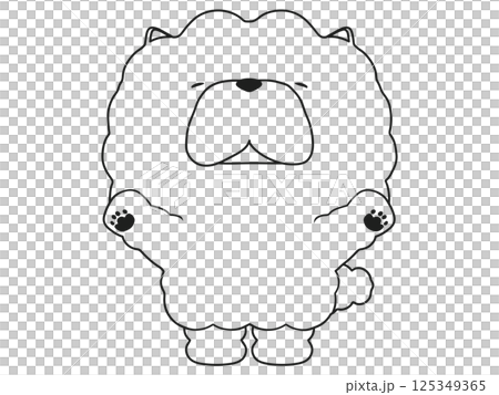 鬆獅犬歡呼 125349365