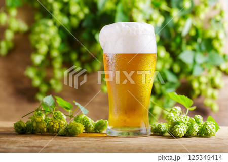 glass of beer and green hops on wooden table 125349414