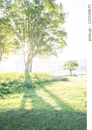木漏れ日が差し込む公園 125349675