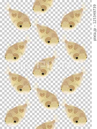かわいいハリセンボンのパターンイラスト 125349739