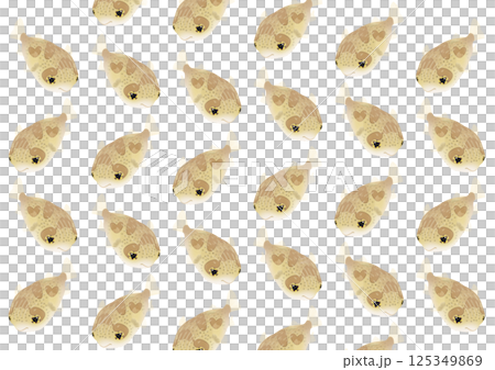 可愛的豪豬魚圖案插圖 125349869