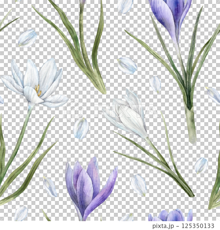 Purple and white crocuses with green leaves and white petals. Watercolor botanical seamless pattern, suitable for spring designs, wedding invitations, greeting cards, branding, packaging, textiles. Purple and white crocuses with green leaves and white petals. Watercolor botanical seamless pattern, suitable for spring designs, wedding invitations, greeting cards, branding, packaging, textiles. 125350133