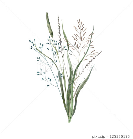 A bouquet of assorted wild herbs and dried wildflowers. Watercolor illustration painted in natural tones. Suitable for eco-branding, packaging, greeting cards, wedding designs and botanical prints. 125350156