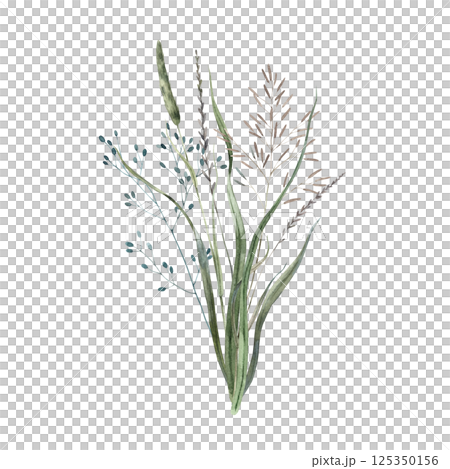 A bouquet of assorted wild herbs and dried wildflowers. Watercolor illustration painted in natural tones. Suitable for eco-branding, packaging, greeting cards, wedding designs and botanical prints. 125350156