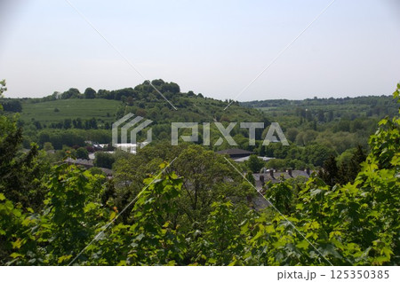 ウィンチェスター 125350385