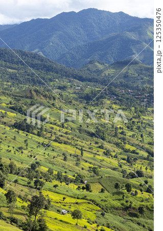 Landscape of Morning Mist with Mountain Layer. mountain ridge and clouds in rural jungle bush forest Landscape of Morning Mist with Mountain Layer. mountain ridge and clouds in rural jungle bush forest 125350476
