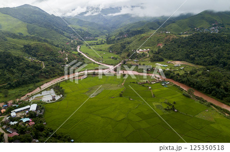 Rice Field of Farmer and sun in the morning,in Thailand 125350518