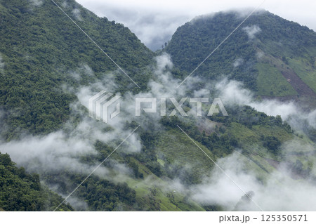 Landscape of Morning Mist with Mountain Layer. mountain ridge and clouds in rural jungle bush forest Landscape of Morning Mist with Mountain Layer. mountain ridge and clouds in rural jungle bush forest 125350571