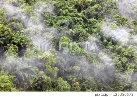 Landscape of Morning Mist with Mountain Layer. mountain ridge and clouds in rural jungle bush forest Landscape of Morning Mist with Mountain Layer. mountain ridge and clouds in rural jungle bush forest 125350572
