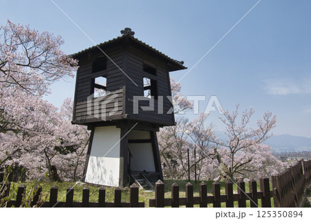 高遠城址公園の満開の桜 太鼓櫓 長野県伊那市 高遠城址公園の満開の桜 太鼓櫓 長野県伊那市 125350894