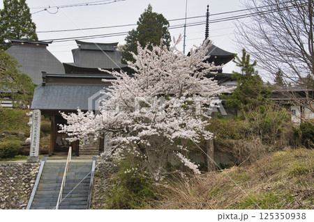 満開の桜と高山寺 長野県小川村 満開の桜と高山寺 長野県小川村 125350938