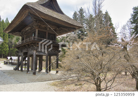 桜の季節の霊松寺 長野県大町市 桜の季節の霊松寺 長野県大町市 125350959