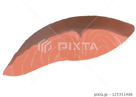 水彩風焼き鮭のシンプルでおしゃれなイラスト 125351486