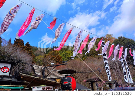 【山口県】いろり山賊とこいのぼり 【山口県】いろり山賊とこいのぼり 125351520