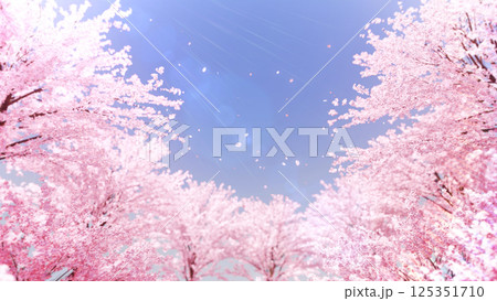 桜並木と桜吹雪/昼 125351710
