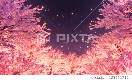 桜並木と桜吹雪/夜桜 125351712