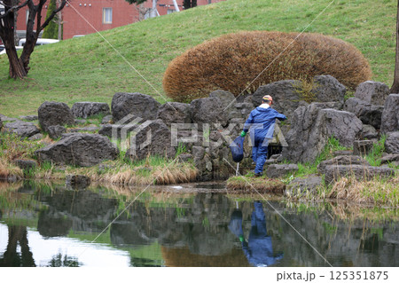 作業、仕事、後姿、作業員、公園、池、公共施設、緑、自然、水面、人物、男性 125351875
