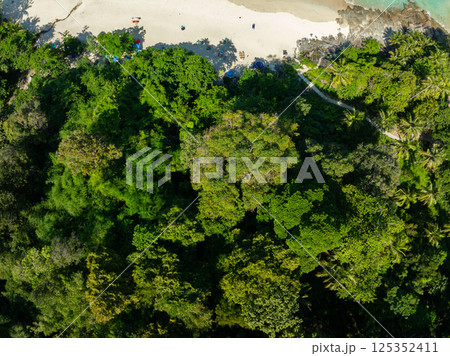 Aerial view drone shot of mountains tropical rainforest,Bird eye view forest trees, Amazing nature background 125352411