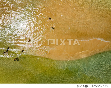 Beautiful landscape summer sea beach nature background,Amazing waves texture background, Aerial view wide angle sea background Beautiful landscape summer sea beach nature background,Amazing waves texture background, Aerial view wide angle sea background 125352459