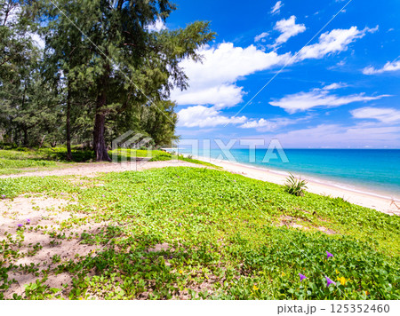 Beautiful colorful sand beach nature background,Amazing beach waves background, Aerial view wide angle sea background 125352460