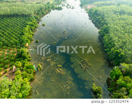 Aerial view top down Drone view over swamp or lake,Amazing nature view in the morning at Klong root lake Krabi Thailand Aerial view top down Drone view over swamp or lake,Amazing nature view in the morning at Klong root lake Krabi Thailand 125352474