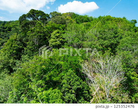 Aerial view drone shot of mountains tropical rainforest,Bird eye view forest trees, Amazing nature background Aerial view drone shot of mountains tropical rainforest,Bird eye view forest trees, Amazing nature background 125352476