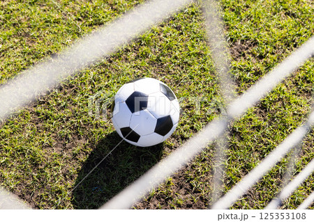 Soccer ball on grass field behind goal net in school playground 125353108