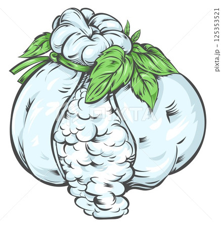 Traditional Italian burrata with buffalo milk and fresh basil. Vector illustration. vector illustration 125353521