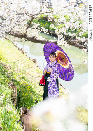 桜の下で袴を着た女子生徒 125353642