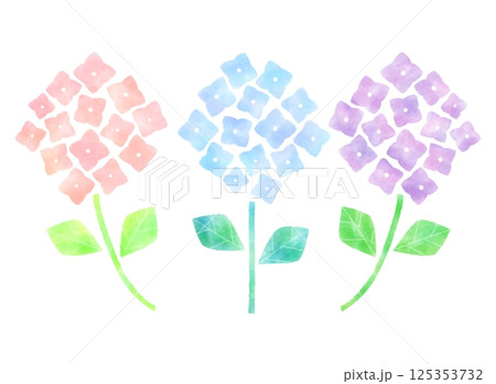 カラフルな紫陽花のイラスト カラフルな紫陽花のイラスト 125353732