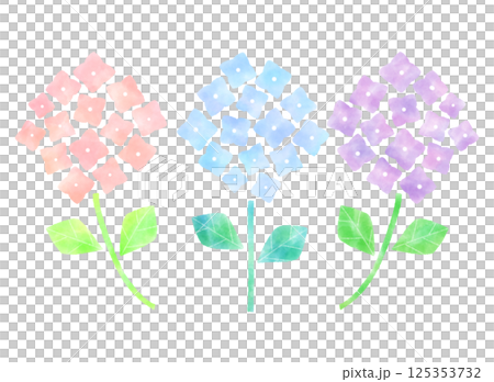 カラフルな紫陽花のイラスト カラフルな紫陽花のイラスト 125353732