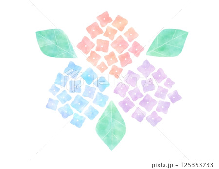 カラフルな紫陽花のイラスト 125353733