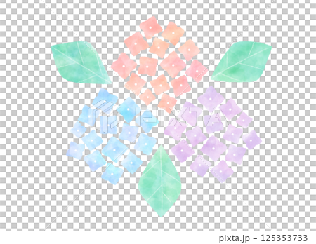 カラフルな紫陽花のイラスト 125353733
