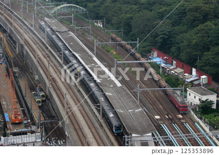 東北貨物線を下る安中貨物（EF81牽引時代） 125353896