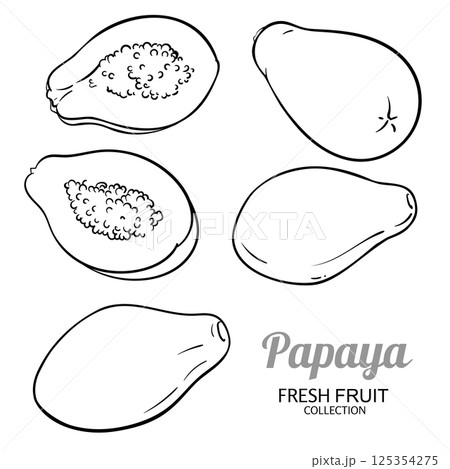Papaya Fruits Set Outline Illustration. 125354275