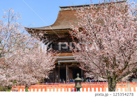 満開の桜と国宝蔵王堂　金峯山寺　奈良県吉野山 125354278