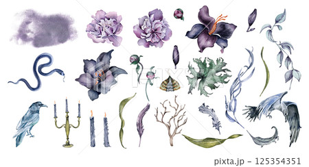 Dark gothic floral clipart of black raven, snake, candles, and vintage candelabra isolated. Hand drawn watercolor peonies, iris flowers, foliage and moths. Blooms in plum colors for mystical design. Dark gothic floral clipart of black raven, snake, candles, and vintage candelabra isolated. Hand drawn watercolor peonies, iris flowers, foliage and moths. Blooms in plum colors for mystical design. 125354351