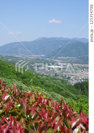徳島県三好市　健康とふれあいの森から美馬市方面を望む 125354789