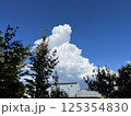 空 125354830
