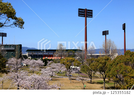 佐賀県立森林公園 みどりの森球場周辺の満開の桜の風景 佐賀県立森林公園 みどりの森球場周辺の満開の桜の風景 125355182