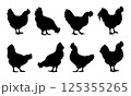 Black silhouette of a hen icon vector 125355265