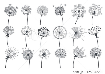 Dandelion silhouettes. Decorative art stilisations of flowers, floral design, fluffy blossom flora, flying seeds, minimalistic botanica, monochrome bloom, splendid vector isolated set 125356559