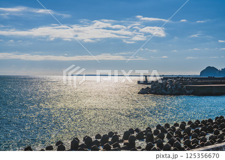 静岡市の広野海岸公園から見た海に浮かぶテトラポットの風景(静岡県) 静岡市の広野海岸公園から見た海に浮かぶテトラポットの風景(静岡県) 125356670
