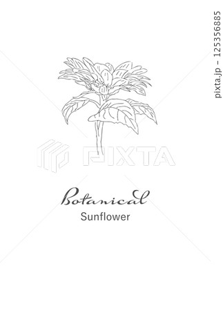 シンプル花の線画イラスト素材　手書きレトロ　ポストカードサイズ　png 125356885