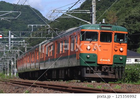 ［JR-V］伯備線115系電車（湘南色編成） 125356992