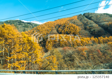 View of Seki river near Naena waterfall in autumn season in Niigata, Japan 125357140