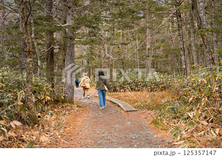 People walking in trail pathway in Kamikochi national park with trees in fall autumn season at Nagano prefecture, Japan 125357147